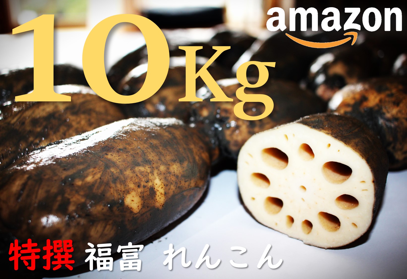 福富 れんこん 特撰 10Kg